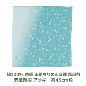 yȂ莟pԁzyѕtz ߂ FT 45cmp 100 ot ATMF Ή KF nJ`  ٓ  a C~ ӂ낵 n ނ {