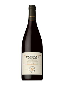 �V�����\���@�u���S�|�j�� �s�m �m���|�� 2023�y750ml�zCHANSON BOURGOGNE PINOT NOIR
