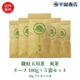 【送料無料/ギフト商品】駿府玉川 爽茶 平袋100g×5本ギフトセット 送り主様に50gプレゼント付 【2024年度産 新茶 5月27日発売開始】【 緑茶 カテキン エピガロカテキンガレート EGCg 】【敬老の日 お中元 御中元 父の日 父の日ギフト 静岡茶 茶葉 リーフ 日本茶】