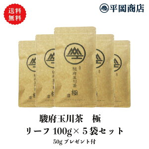 y/}փRpNgցzx{ʐ쒃  100g×5{Zbg 50gT[rXt y2025NxY V 515JnziΒ JeL GsKJeLK[g EGCg {@⒃@o 