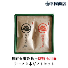 駿府玉川茶 極＋駿府玉川茶 ギフトセット【送料無料】【2024年度新茶 5月21日発売開始】【 緑茶 カテキン エピガロカテキンガレート EGCg 】 【 敬老の日 お中元 御中元 父の日 父の日ギフト 母の日 母の日ギフト 静岡茶 茶葉 リーフ 日本茶 ギフト 贈答 プレゼント】