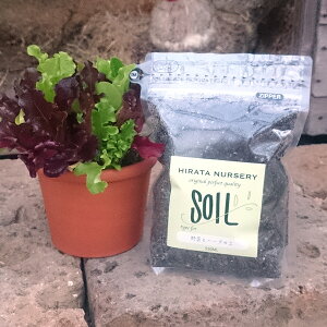 ؂ƃn[u̓y g؂TCY550ml-HIRATA NURSERY original perfect quality-