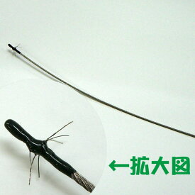 楽天市場 テッポウムシの通販