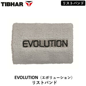 TIBHAR eBo[ EVOLUTIONiG{[VjXgoh 싅 