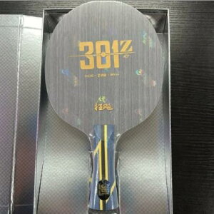  go 싅 Pbg uLEqE301Zv A {ۏ؁ Ђ삿˂