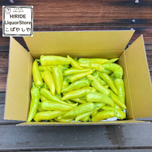 ̂ꂽĂ͐hVN oii؂炯tZbgTCY80 쌧̓` r^~C JvTCV Lx ΂Ȃȓ hq MB MB MBc hq  h