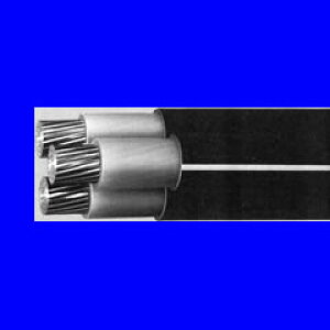 d CVT14sqi50mj CVTP[u