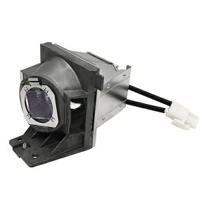 BENQ 5J.JLV05.001 vWFN^[pv ݊i benqvWFN^[ xL[ pv