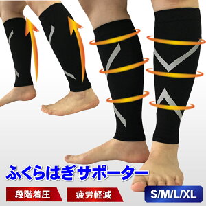 _279:59I|Cg2{+N[|zz^y1000~|bL zӂ͂T|[^[ 2g   X|[c ނ J[tX[u \bNX jp 