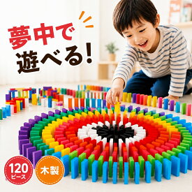 【クーポン配布中】【1000円ポッキリ 送料無料】ドミノ倒し おもちゃ 積み木 知育 玩具 120個 12色セット 木製 カラフル 女の子 男の子 小学生 入園 ドミノ こども 誕生日 プレゼント まとめ買い キッズ ベビー 送料無料