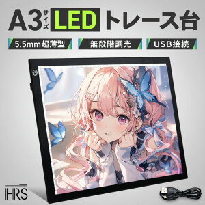 _|Cg2{I241:59^g[X A3 ^ LED 3iK 傫 g[Xpl } ʌo Aj CXg }  G` _ChA[g _CAhA[g 