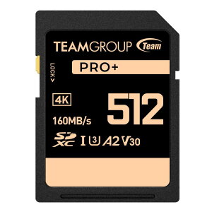 Team SDXCJ[h UHS-I U3 V30 4kΉ Ǎ160MB/s PRO+V[Y {10NK