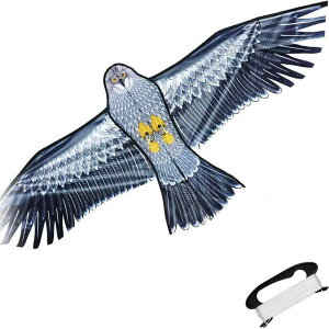 FI  TIME  JCg 1.5m g q l S yʏv ΂₷ Jt X|[cJCg [obOt