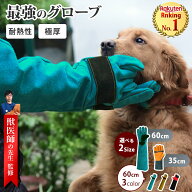 ＼2点以上10％割クーポン有／ ペットグローブ 噛みつき防止 噛みつき 引っ掻き 厚手 しつけ 犬 猫 鳥 DIY…