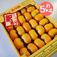 訳あり 焼酎脱渋 庄内柿 約 5kg 27玉〜40玉前後 送料無料 予約 山形県産 しょうないがき
