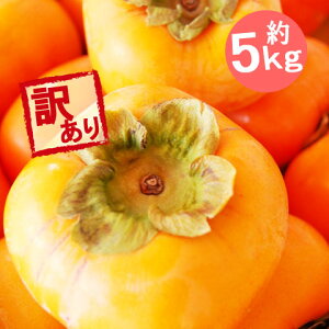 R`Y ` 傤Ȃ 󂠂 5L \ 
