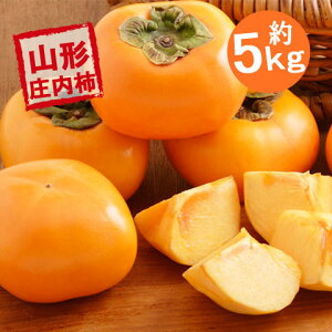 ` L TCY ȏ  ɂœK  5kg 25ʁ`30ʑO \  R`Y 傤Ȃ