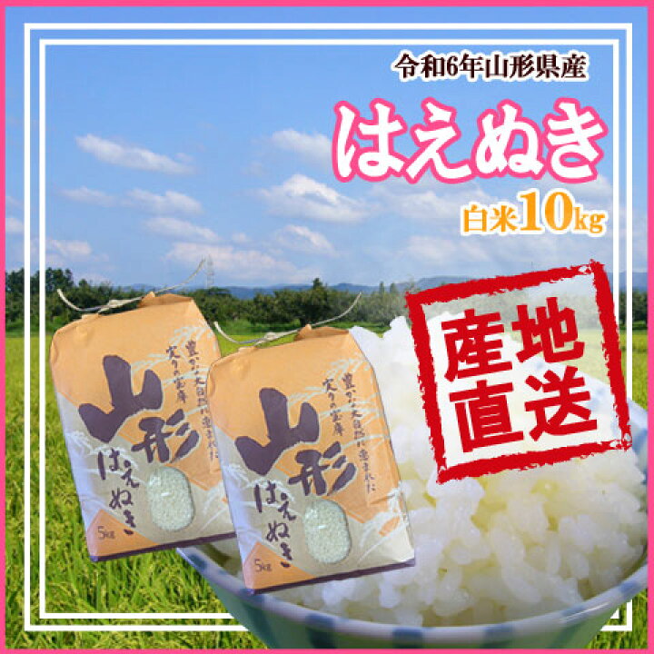 楽天市場】令和6年産 送料無料 令和7年産 新米 予約受付中 山形県産  