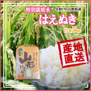 �R�`���Y ���ʍ͔|�� �͂��ʂ� �ߘa7�N�Y �������� �������� �ߘa8�N�Y �V�� �\�� ��t �J�n ���� 5kg ���S�Ŋm���Ȃ��̂�H��� ���E�Âݔ��Q �܃L������ ������ ���� �͂��܂�