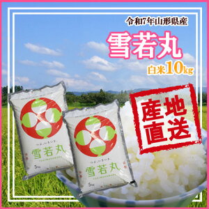 �R�`���Y ���� �ߘa7�N�Y �������� �������� �ߘa8�N�Y �V�� �\�� ��t �J�n ���� P10kg 5kg×2 ���S�Ŋm���Ȃ��̂�H��� ���E�Âݔ��Q �\�L�� ���� ������ ���� �͂��܂�