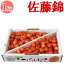 (スーパーセール)(予約)(早割)(送料無料)山形県産さくらんぼ★佐藤錦【たっぷり1kg 訳あり ご家庭用】佐藤錦/さくらんぼ/さとうにしき/1kg/1キロ