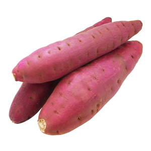 R`Y ܂ s ƒp g͂邩 10L n_ƂƂ͔̋|