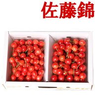 山形県産 さくらんぼ 佐藤錦 予約 送料無料 秀品 たっぷり 1kg M サイズ 佐藤錦/さくらんぼ/さとうにしき…