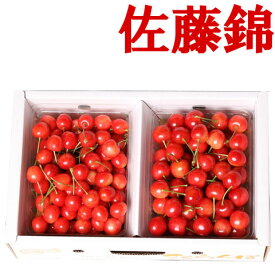 山形県産 さくらんぼ 佐藤錦 予約 送料無料 秀品 たっぷり 1kg M サイズ 佐藤錦/さくらんぼ/さとうにしき/1kg/1キロ