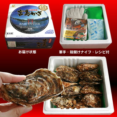楽天市場 広島牡蠣 産地直送 宮島かき 生 秋冬限定 ぞっこんイカ本舗