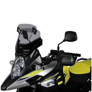 GA[G[ MRA XN[ @Ic[O 17Nȍ~ DL1000 V-Xg[ X[N 4025066158171 HDX