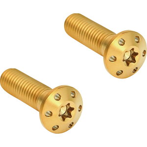 �yUSA�݌ɂ���z �A�����l�X Arlen Ness �L�����p�[ �}�E���g �L�b�g HOLESHOT 2 PACK �S�[���h 1701-0809 HD�X