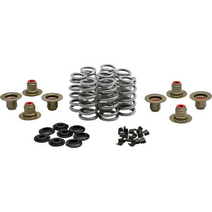 �yUSA�݌ɂ���z �L�u���z���C�g Kibblewhite BEEHIVE VALVE �X�v�����O �L�b�g 0.640 LIFT W/PSI SPRINGS SS 0926-3458 HD�X