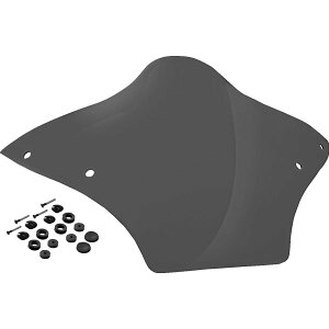 【USA在庫あり】 メンフィスシェード MEMPHIS SHADES WINDSHIELD BRL RACE BUBBLE 15-23 FLTRX SMOKE 2310-0962 HD店