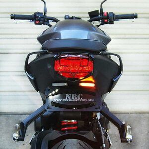 �yUSA�݌ɂ���z New Rage Cycles 2024 Triumph Street Triple Fender Eliminator Kit newSTREET-FE-S-24 HD�X