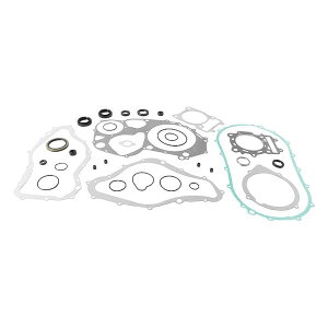 �yUSA�݌ɂ���z QuadBoss 00-02 Arctic Cat 500 4x4 AT Complete Gasket Set w/ Oil Seal qbs564027 HD�X