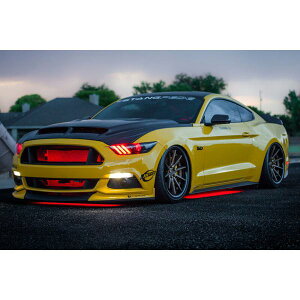 �yUSA�݌ɂ���z Diode Dynamics RGBW Multicolor Underglow LED Kit dioDD0442 HD�X