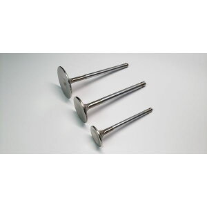 �yUSA�݌ɂ���z Ferrea Nissan NEO 29.65mm 5.96mm 97.95mm 22 Deg Flo Stock Competition Plus Exhaust Valve - Set of 12 ferF1935P HD�X