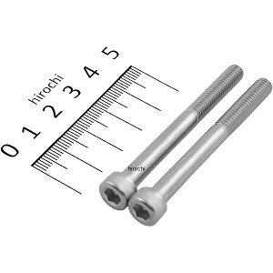 y[J[݌ɂz |bV POSH Lbv{gZbg ėp M6x60mm XeX 2{ 900660-S2 HDX