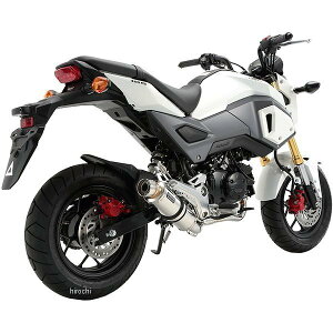 r[X BEAMS tGL][Xg R-EVO 16Nȍ~ O XeX G175-53-008 HDX