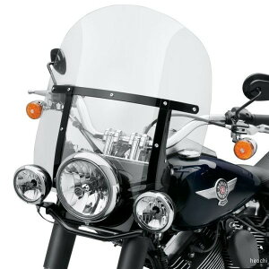 n[[ f^b`uELOEEChV[h ⏕Cg 00Nȍ~ FLS X[N/OXubN 57400111 HDX