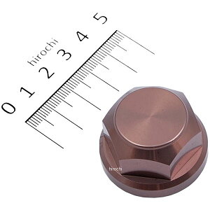 y[J[݌ɂz nP[ Xeibg `^J[ ZZR1200 / ZZR1100 HT0809T HDX