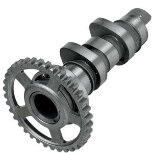 yUSA݌ɂz zbgJ HOT CAMS [VO J Xe[W3 04N-13N CRF250 0925-0269 HDX