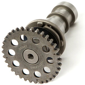 yUSA݌ɂz zbgJ HOT CAMS [VO JXe[W1 GL][Xg 00N-12N DR-Z400AKLX400 0925-0696 HDX