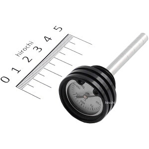 y[J[݌ɂz |bV POSH lINVbNv 89N-10N tHc@ASRX400  111024-06 HDX