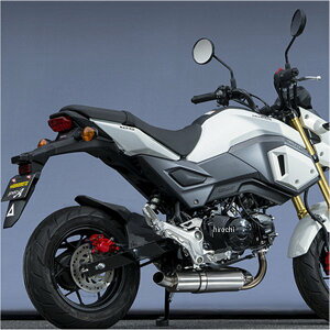 }g[VO tGL][Xg 13N-16N O DOWN^Cv TYPE-II 10129-71DT2 HDX