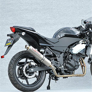 }g[VO tGL][Xg 08N-12N jW250R 2-1 UP^Cv `^ [Xp 40251-61STR HD