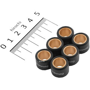 s[Gts[ PFP EGCg[[ z_p H16×13 6.0g 22123-GBY-830 WR004 HDX