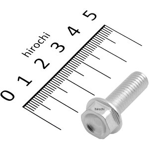 AN|rb` AKRAPOVIC TCT[t{g 11Nȍ~ hDJeB X^[696 P-FB10 HDX