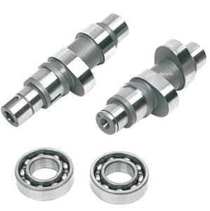 �yUSA�݌ɂ���z �A���h�����[�X ANDREWS �O���C���h�J�� 21HG �M�A�h���C�u 07�N-17�N Twin Cam 0925-0168 HD�X