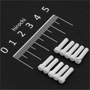 yUSA݌ɂz iY NAMZ v_Ng z[ vO 10 namDT-HP HDX